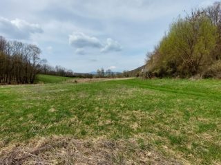 Eladó 22721 m²-esmezőgazdasági ingatlan Berkenye, Külterület utca: 17'949'000 Ft