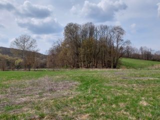 Eladó 22721 m²-esmezőgazdasági ingatlan Berkenye, Külterület utca: 17'949'000 Ft