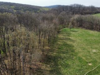 Eladó 22721 m²-esmezőgazdasági ingatlan Berkenye, Külterület utca: 17'949'000 Ft