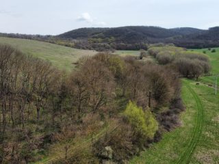 Eladó 22721 m²-esmezőgazdasági ingatlan Berkenye, Külterület utca: 17'949'000 Ft