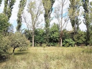 Eladó 400 m²-escsaládi ház Biatorbágy, Füzes patak közelében utca: 215'000'000 Ft