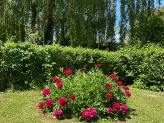 Eladó 5000 m²-estelek Biatorbágy, Iharos: 150'000'000 Ft