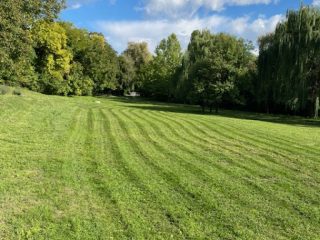 Eladó 5000 m²-estelek Biatorbágy, Iharos: 150'000'000 Ft