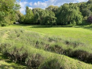 Eladó 5000 m²-estelek Biatorbágy, Iharos: 150'000'000 Ft
