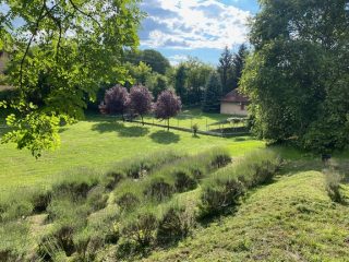 Eladó 5000 m²-estelek Biatorbágy, Iharos: 150'000'000 Ft