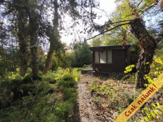 Eladó 747 m²-estelek Biatorbágy, Peca-tó utca: 22'900'000 Ft