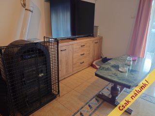 Eladó 188 m²-escsaládi ház Bodajk, Petőfi Sándor utca: 120'000'000 Ft