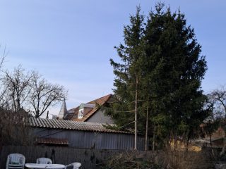 Eladó 380 m²-escsaládi ház Bogács, Táncsics M út: 62'000'000 Ft