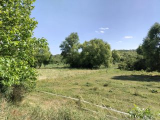 Eladó 3002 m²-esmezőgazdasági ingatlan Budakalász (Budakalász) , Klisovác utca: 6'000'000 Ft