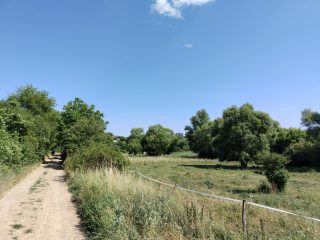 Eladó 3002 m²-esmezőgazdasági ingatlan Budakalász (Budakalász) , Klisovác utca: 6'000'000 Ft