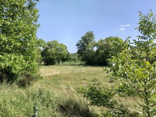 Eladó 3002 m²-esmezőgazdasági ingatlan Budakalász (Budakalász) , Klisovác utca: 6'000'000 Ft