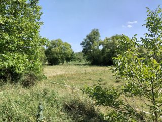 Eladó 3002 m²-esmezőgazdasági ingatlan Budakalász (Budakalász) , Klisovác utca: 6'000'000 Ft