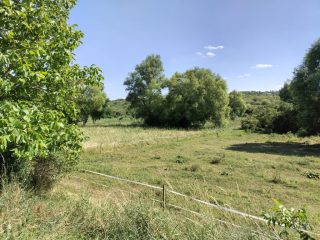 Eladó 3002 m²-esmezőgazdasági ingatlan Budakalász (Budakalász) , Klisovác utca: 6'000'000 Ft