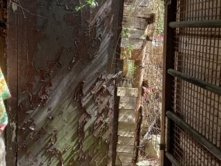 Eladó 26 m²-esházrész Budakalász, Patak sor: 30'000'000 Ft