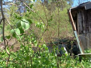 Eladó 26 m²-esházrész Budakalász, Patak sor: 30'000'000 Ft