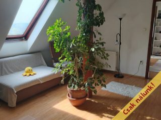 Eladó 240 m²-escsaládi ház Budakeszi, Barackvirág utca: 219'000'000 Ft