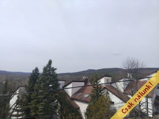 Eladó 240 m²-escsaládi ház Budakeszi, Barackvirág utca: 219'000'000 Ft