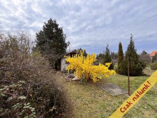 Eladó 882 m²-estelek Budakeszi, Máriamakk: 80'000'000 Ft