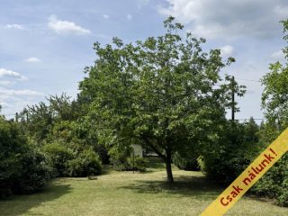 Eladó 882 m²-estelek Budakeszi, Máriamakk: 74'990'000 Ft