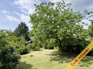 Eladó 882 m²-estelek Budakeszi, Máriamakk: 74'990'000 Ft