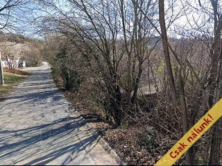 Eladó 700 m²-estelek Budaörs, Harkály utca: 89'500'000 Ft