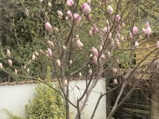 Eladó 110 m²-esikerház Budaörs, Kassai utca: 209'000'000 Ft