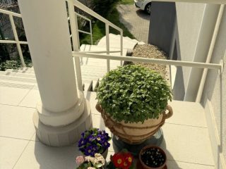 Eladó 276 m²-escsaládi ház Budaörs, Liliom utca: 309'000'000 Ft