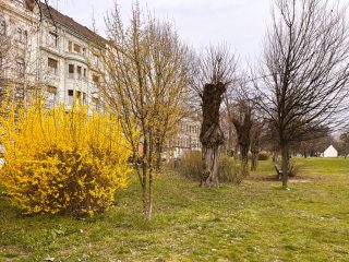 Eladó 42 m²-estársasházi lakás I. Kerület (Tabán) , Tabán: 79'000'000 Ft