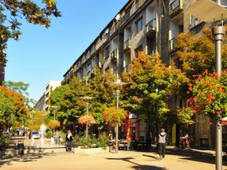 Eladó 32 m²-estársasházi lakás II. kerület (Országút) , Lövőház utca: 57'000'000 Ft