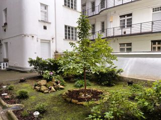 Eladó 38 m²-estársasházi lakás II. kerület (Országút) , Millenáris mellett: 60'990'000 Ft