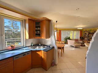 Eladó 238 m²-esikerház II. kerület (Pesthidegkút-Ófalu II/A.) , Pesthidegkút-Ófalu: 219'000'000 Ft