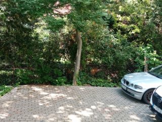 Eladó 60 m²-estársasházi lakás II. kerület (Törökvész) , Pasaréti térhez közel: 119'900'000 Ft