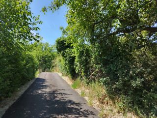 Eladó 2239 m²-esmezőgazdasági ingatlan III. Kerület (Békásmegyer- Ófalu) , Mély utca: 16'000'000 Ft