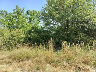 Eladó 2239 m²-esmezőgazdasági ingatlan III. Kerület (Békásmegyer- Ófalu) , Mély utca: 16'000'000 Ft