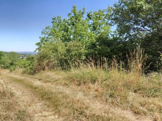 Eladó 2239 m²-esmezőgazdasági ingatlan III. Kerület (Békásmegyer- Ófalu) , Mély utca: 16'000'000 Ft