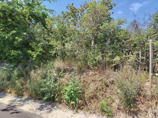 Eladó 2239 m²-esmezőgazdasági ingatlan III. Kerület (Békásmegyer- Ófalu) , Mély utca: 16'000'000 Ft