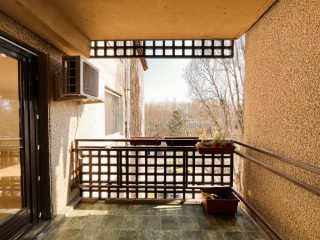 Eladó 85 m²-estársasházi lakás III. Kerület (Gyógyszergyár utcai ltp) , Gyógyszergyár utca: 104'900'000 Ft