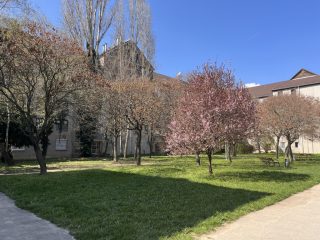 Eladó 85 m²-estársasházi lakás III. Kerület (Gyógyszergyár utcai ltp) , Gyógyszergyár utca: 104'900'000 Ft