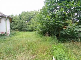 Eladó 60 m²-escsaládi ház III. Kerület (Mocsárosdűlő) , Víznyelő utca melletti út: 135'000'000 Ft