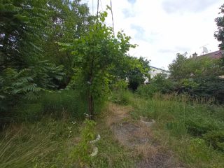 Eladó 60 m²-escsaládi ház III. Kerület (Mocsárosdűlő) , Víznyelő utca melletti út: 135'000'000 Ft