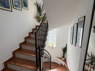 Kiadó 240 m²-escsaládi ház III. Kerület (Rókahegy) , Péterhegyi dűlő: 950'000 Ft