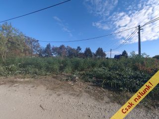 Eladó 1000 m²-estelek III. Kerület (Ürömhegy) , Ürömfű utca: 89'900'000 Ft