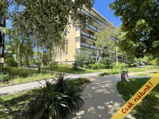 Eladó 69 m²-estársasházi lakás IV. Kerület (Izzó lakótelep) , Erdősor utca: 79'900'000 Ft