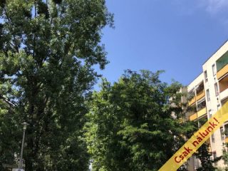Eladó 55 m²-estársasházi lakás IV. Kerület (Izzó lakótelep) , Izzó lakótelepen AZONNAL költözhető lakás: 56'500'000 Ft