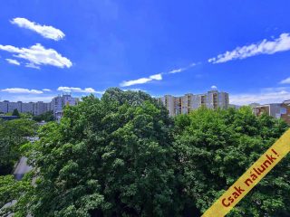 Eladó 27 m²-estársasházi lakás IV. Kerület (Újpest) , Laborfalvi Róza utca: 38'500'000 Ft