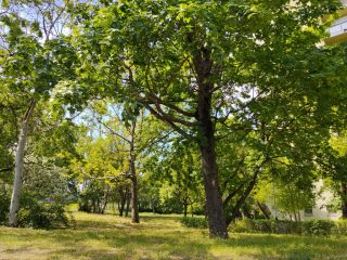 Eladó 70 m²-estársasházi lakás IV. Kerület (Újpest) , Lőwy Izsák utca: 74'900'000 Ft