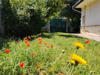 Kiadó 54 m²-estársasházi lakás IV. Kerület (Újpest) , Megyeri úthoz közeli csendes utca: 180'000 Ft