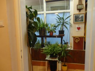 Eladó 82 m²-estársasházi lakás IV. Kerület (Újpest) , Nádor utca: 79'000'000 Ft