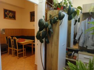 Eladó 82 m²-estársasházi lakás IV. Kerület (Újpest) , Nádor utca: 79'000'000 Ft