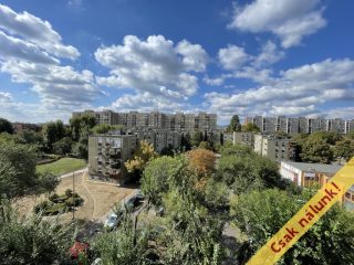 Eladó 36 m²-estársasházi lakás IV. Kerület (Újpest) , Rózsa utca: 49'000'000 Ft